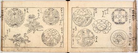 当流/紋帳図式綱目