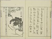浪華☆芳譜
