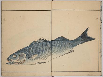 魚貝略画式