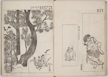 上品なブランド 光琳新撰百図: Database Ehon 和書